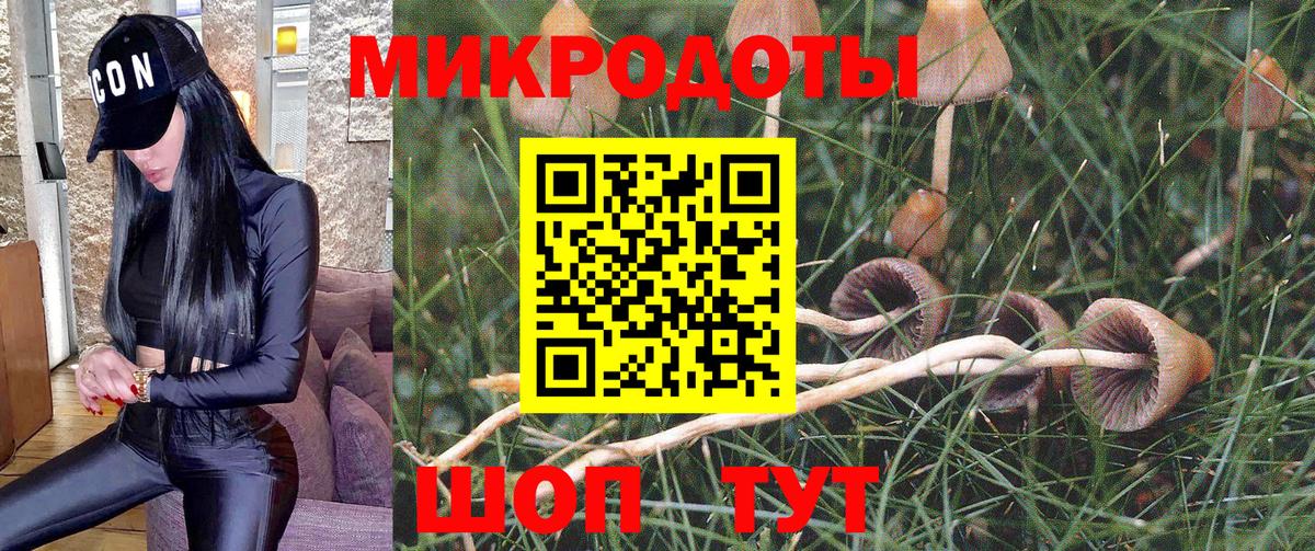 Луга  Галлюциногенные грибы ЛСД  Вход с VPN 